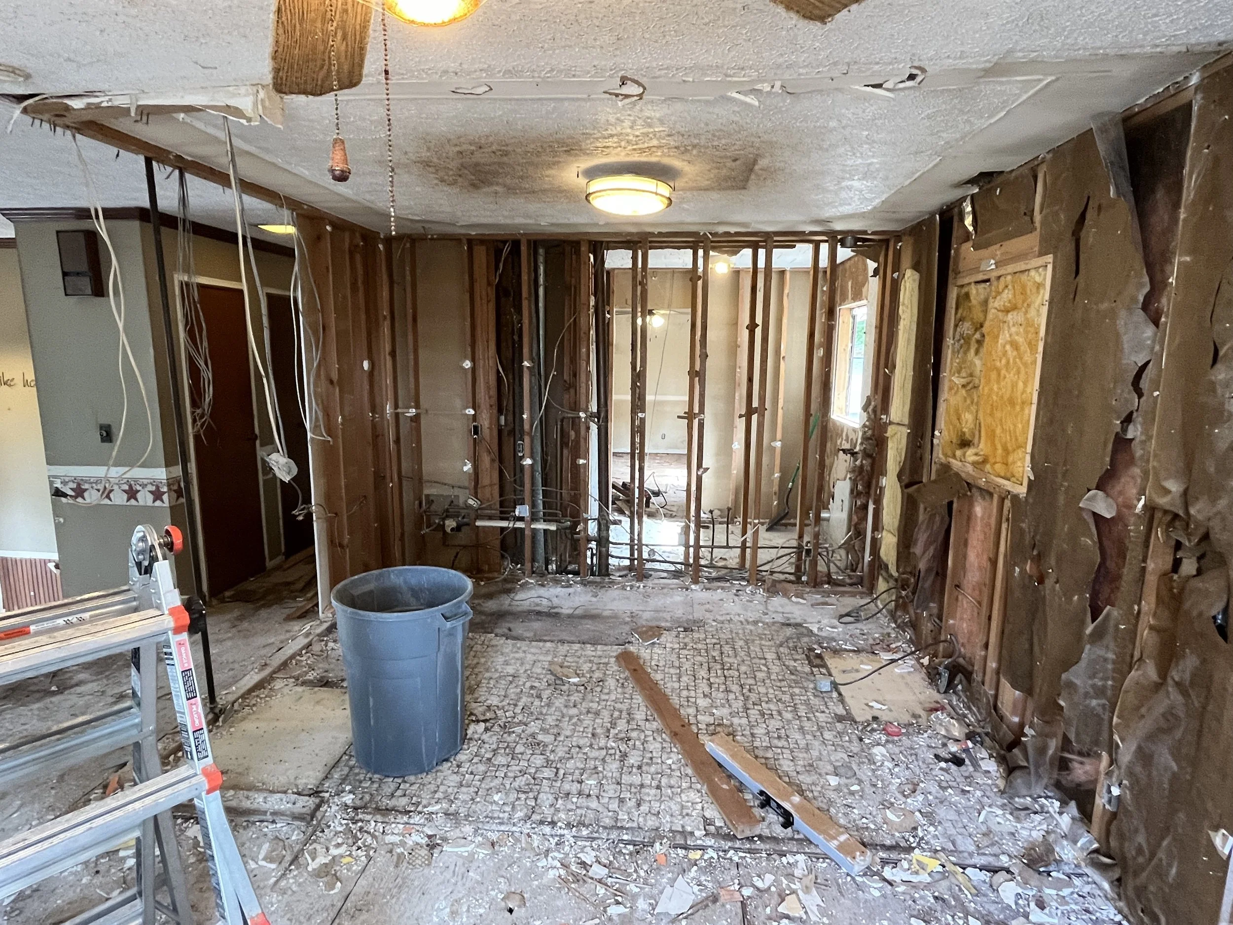Demo stage of the kitchen down to the studs. 