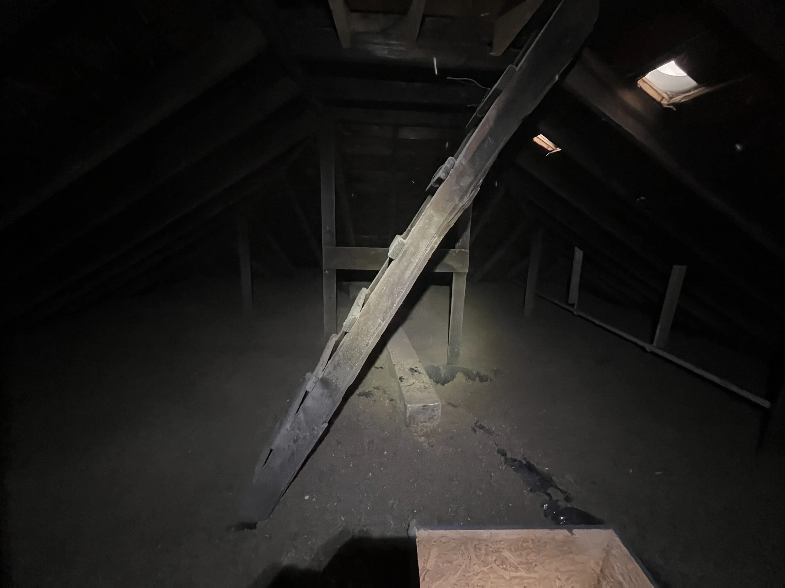 The attic. That ladder is original to the building and used to lead up to the roof, as pictured above in "THE BEGINNING." 