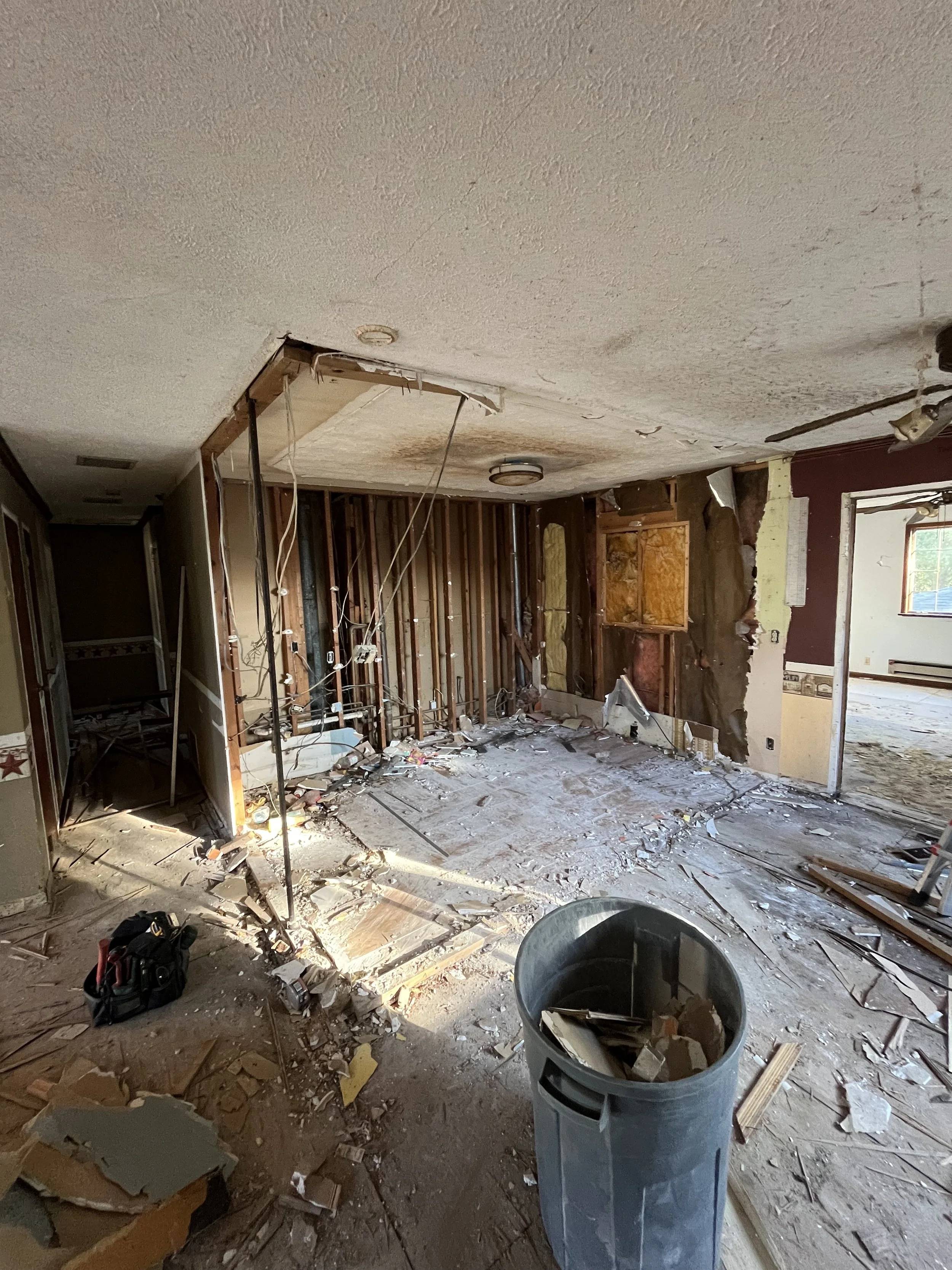 Completely demo'd kitchen. 