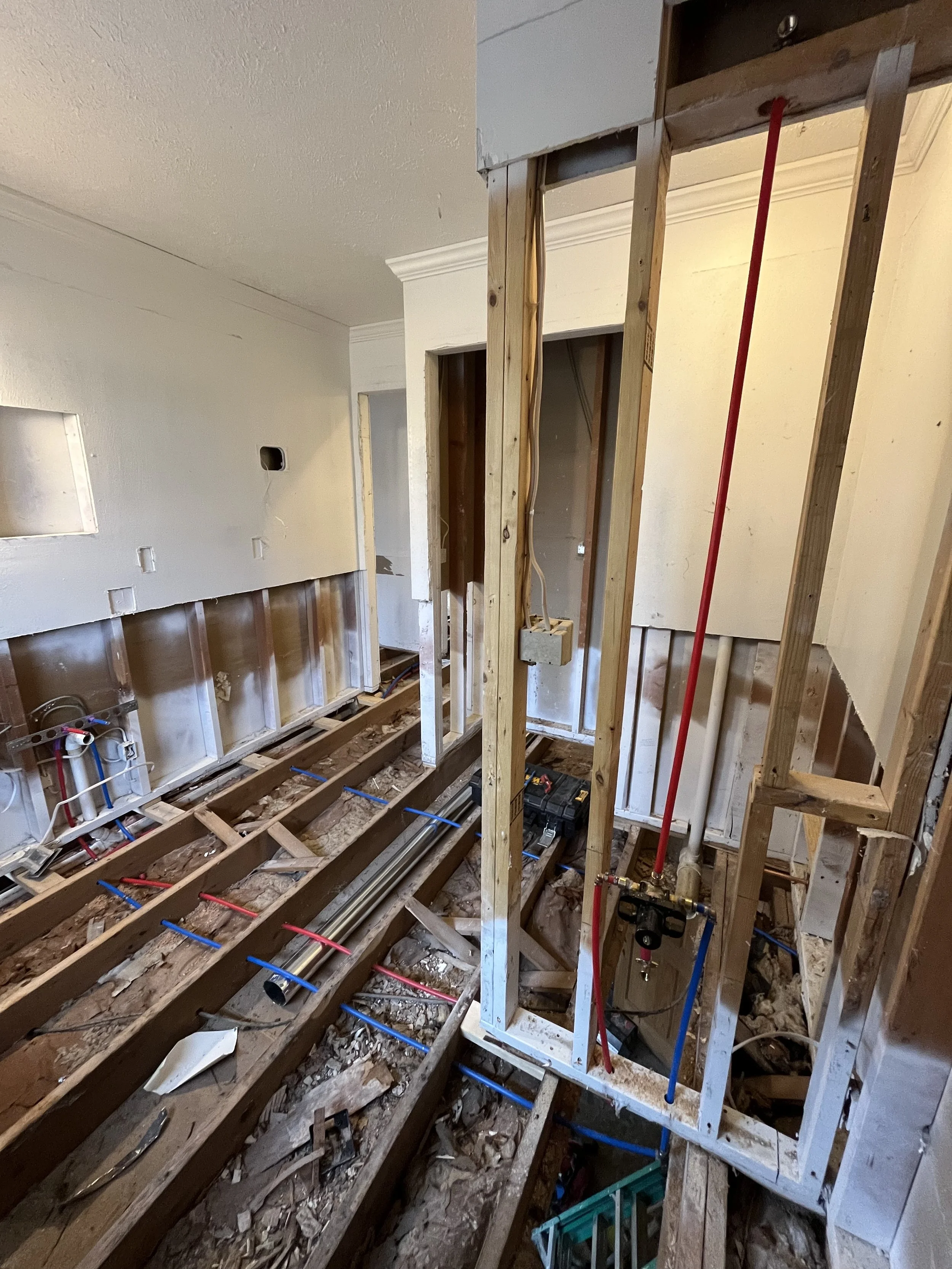 Hall bathroom, you might notice the subfloor missing, we did this to the entire house to get rid of the pet damage.
