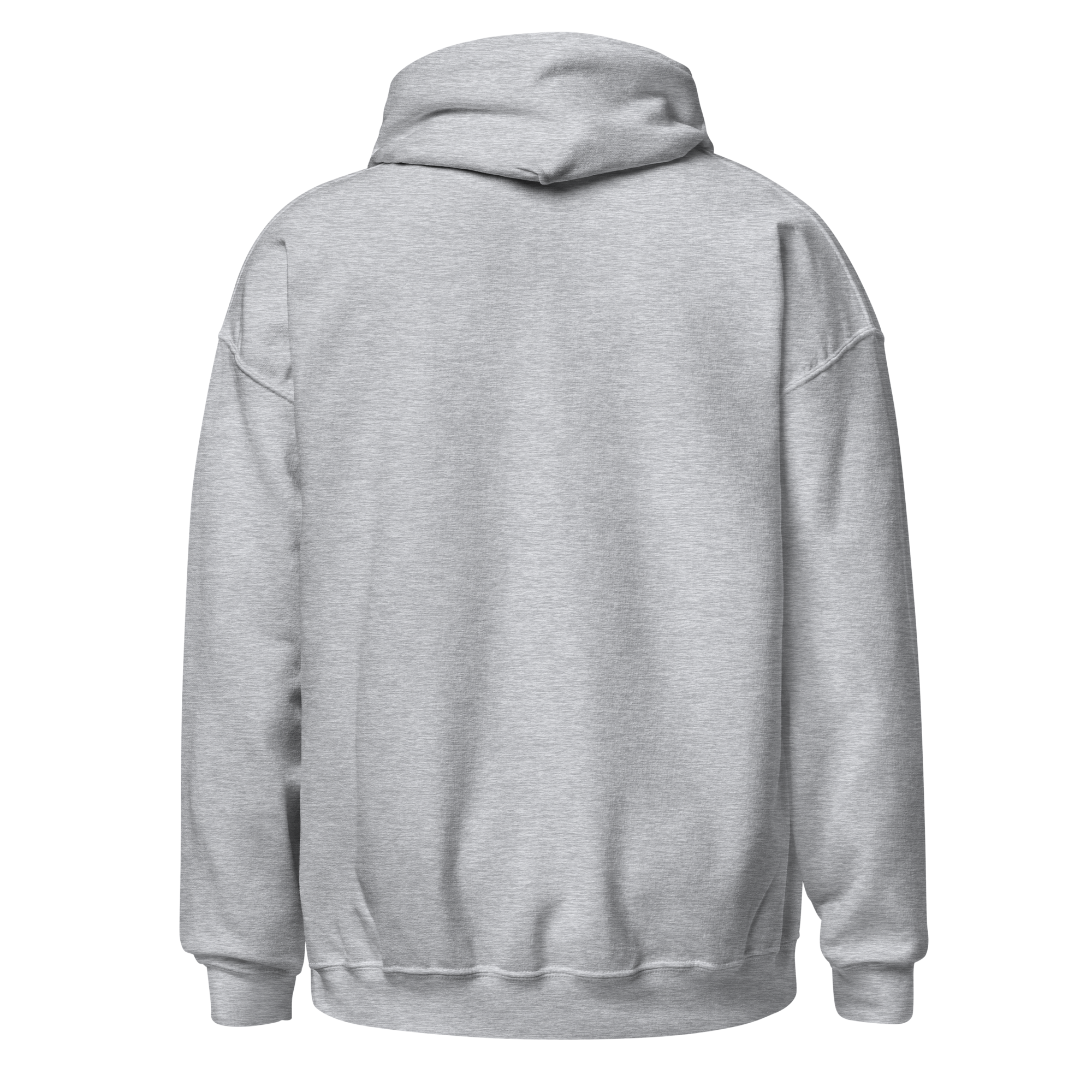 unisex-heavy-blend-hoodie-sport-grey-back-6aa891ef7957f.png