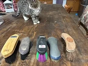 Review on Body Brushes