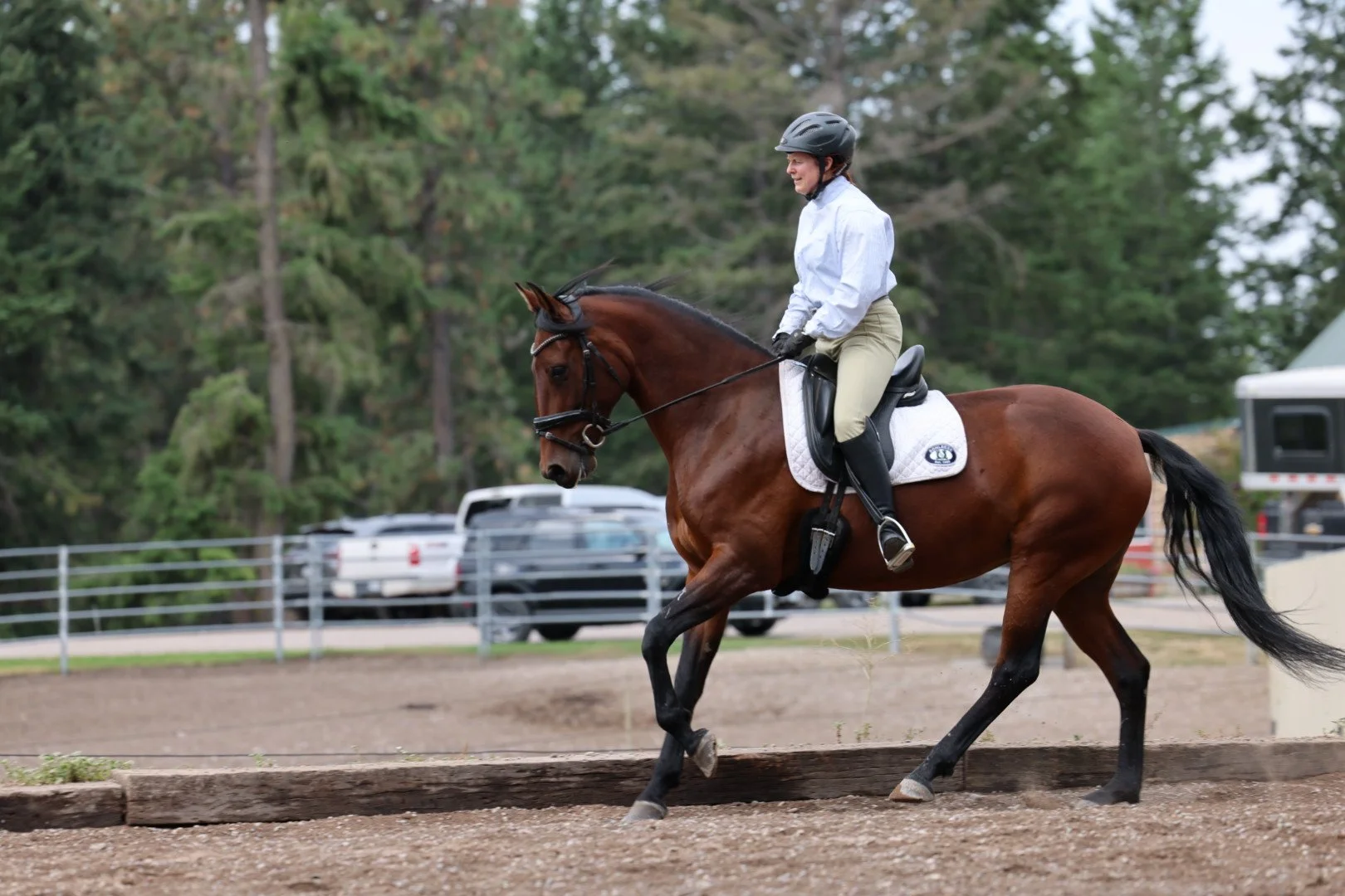 Show season prep