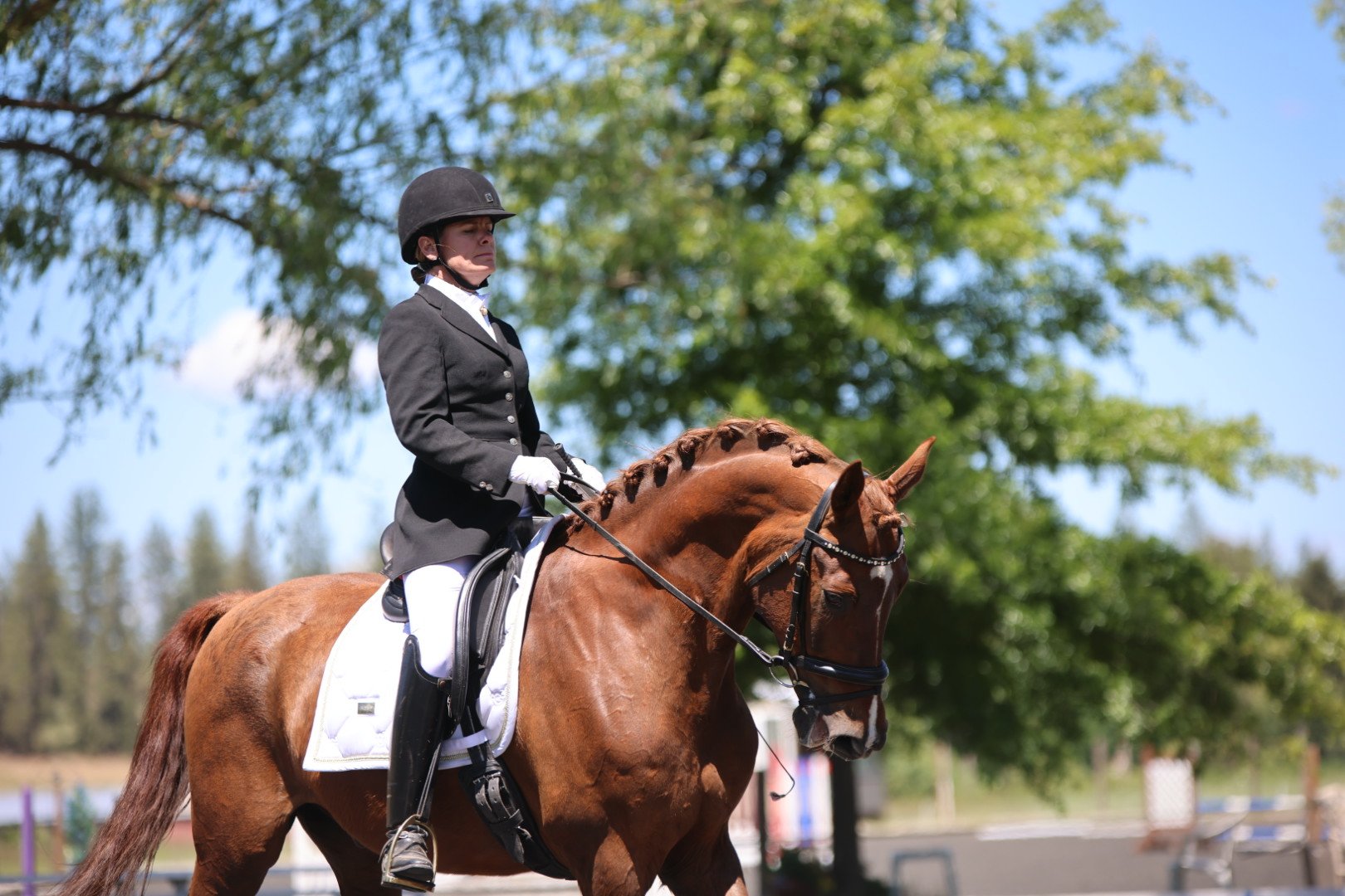 15 Morgans At Moana stables and setting goals