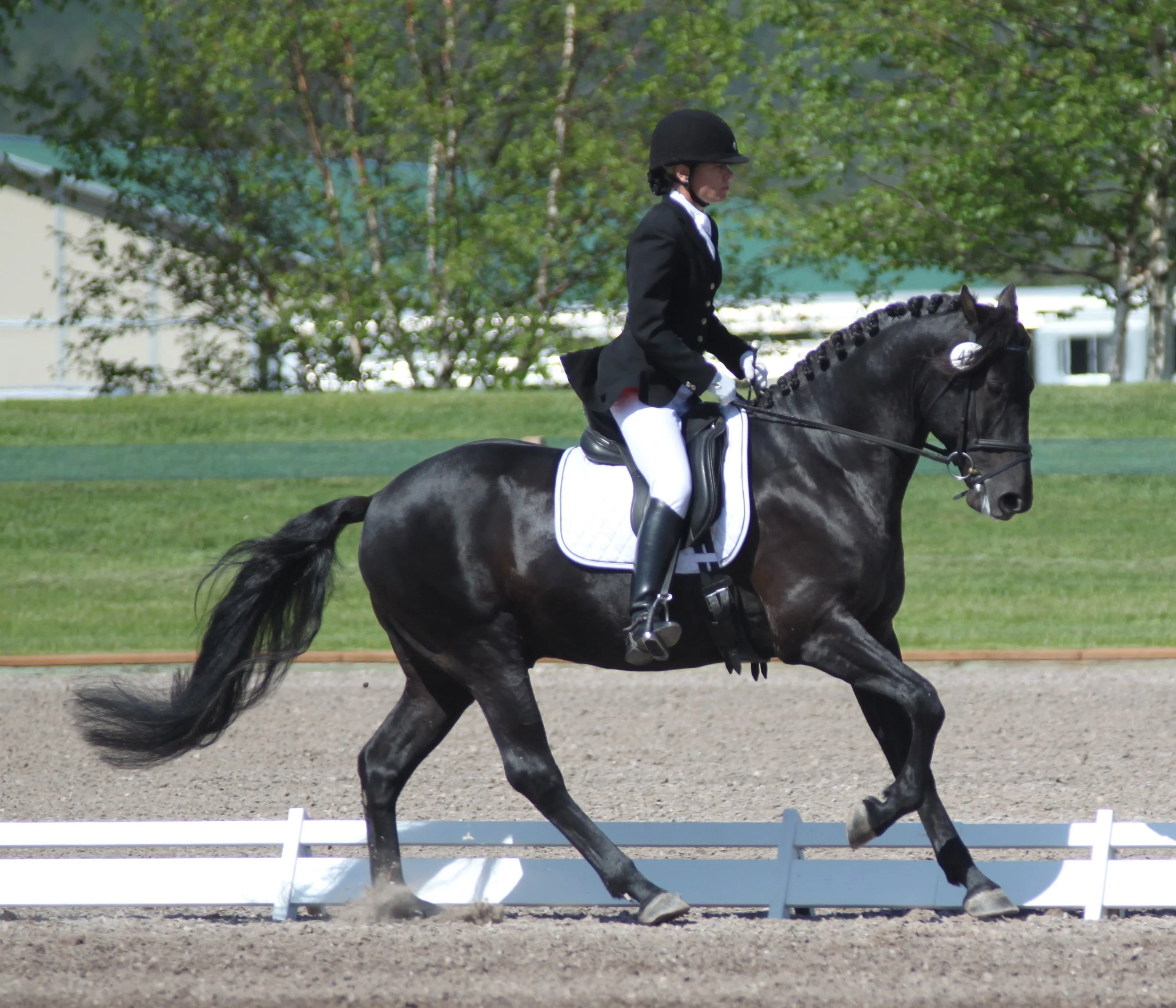 Does your saddle pad fit your horse’s figure?