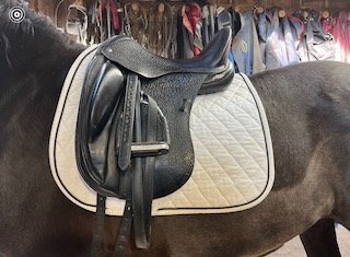 Saddle Fit!