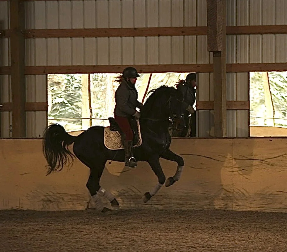 Two people riding black horses inside an indoor riding arena with wooden walls and large windows showing trees outside.