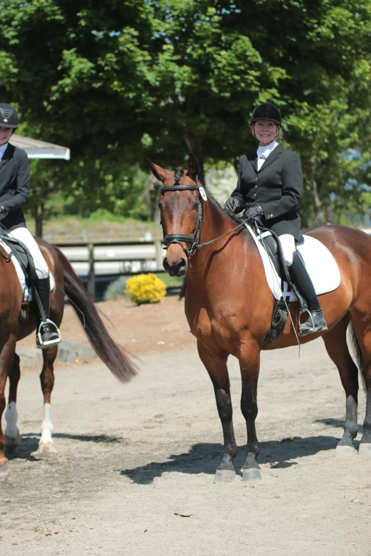 A woman wearing a black riding helmet, gray jacket, and white riding pants, on a brown horse with a white saddle pad, smiling outdoors under a tree during daytime.