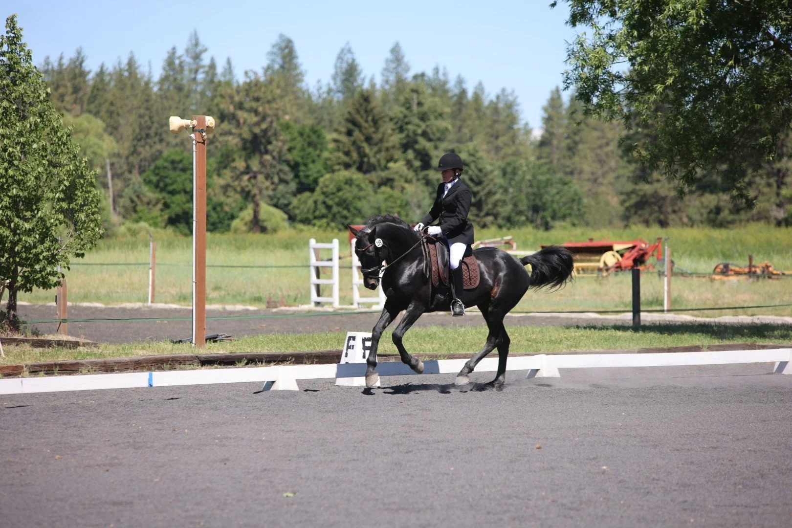 A rider in a formal riding outfit and helmet is performing a dressage maneuver on a black horse inside an outdoor riding arena with green trees and fenced fields in the background.