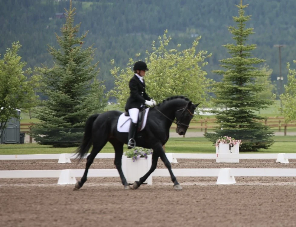 A rider in formal equestrian attire riding a black horse on a dirt arena with trees and mountains in the background.
