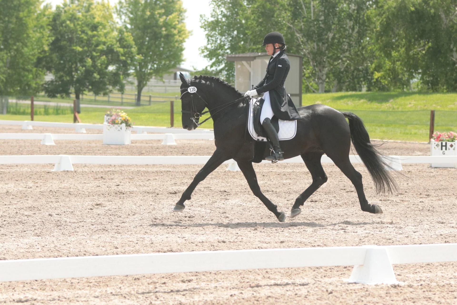 A female equestrian dressed in black riding attire, helmet, and gloves riding a black horse in a dressage arena with white barriers and green trees in the background.