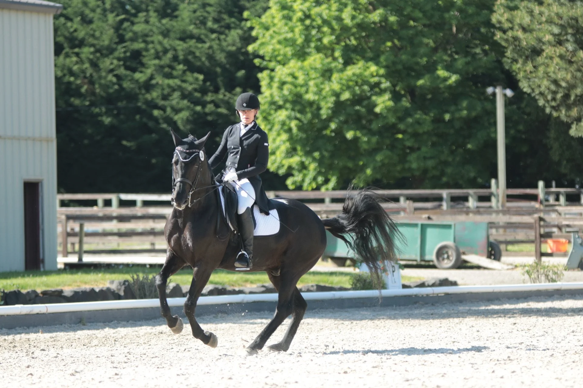 A female equestrian dressed in black riding attire and helmet riding a black horse with a white saddle pad in an outdoor riding area surrounded by trees and wooden fences.