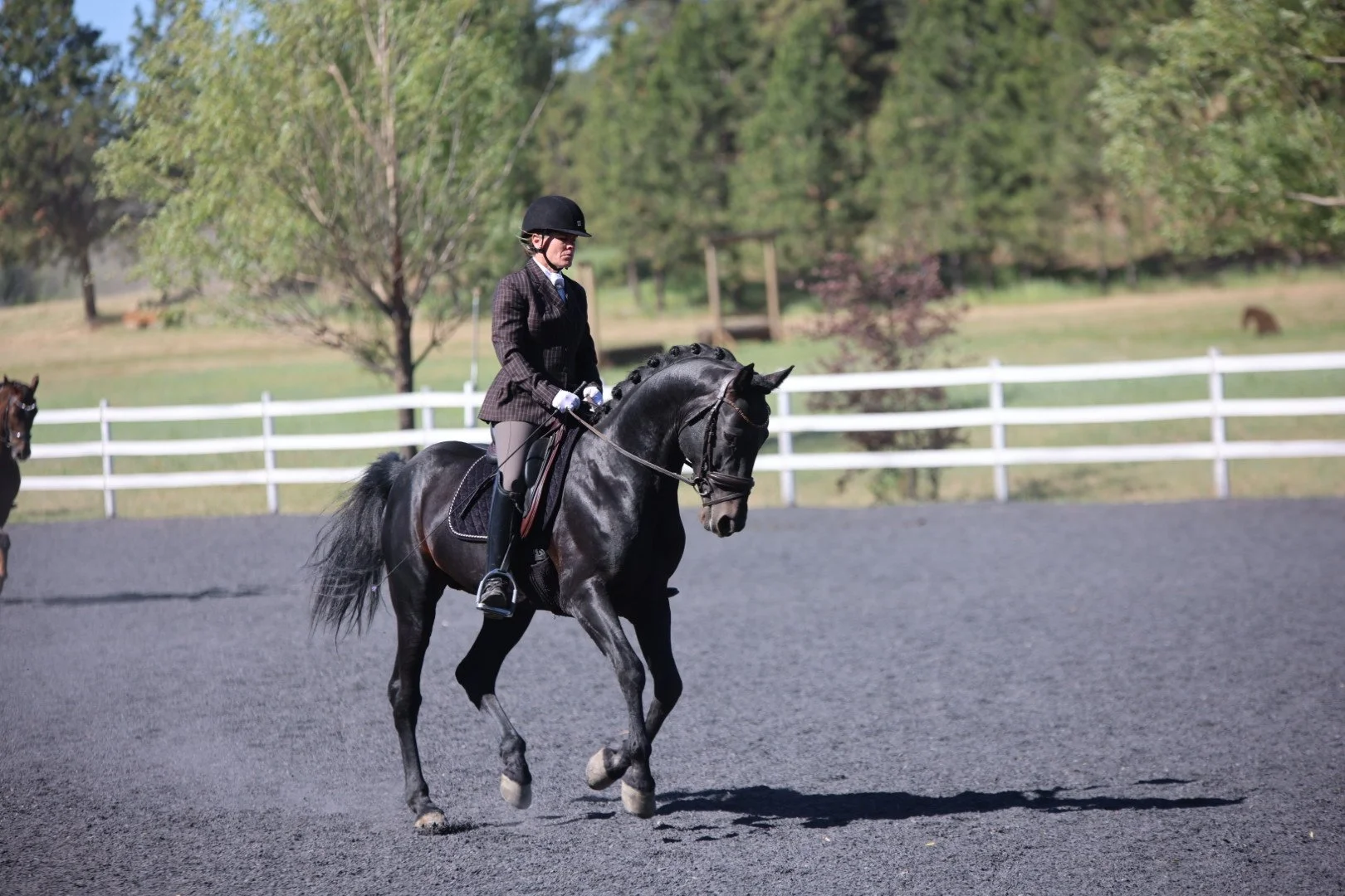 A person dressed in equestrian attire riding a black horse on a riding arena, with a white fence and trees in the background.