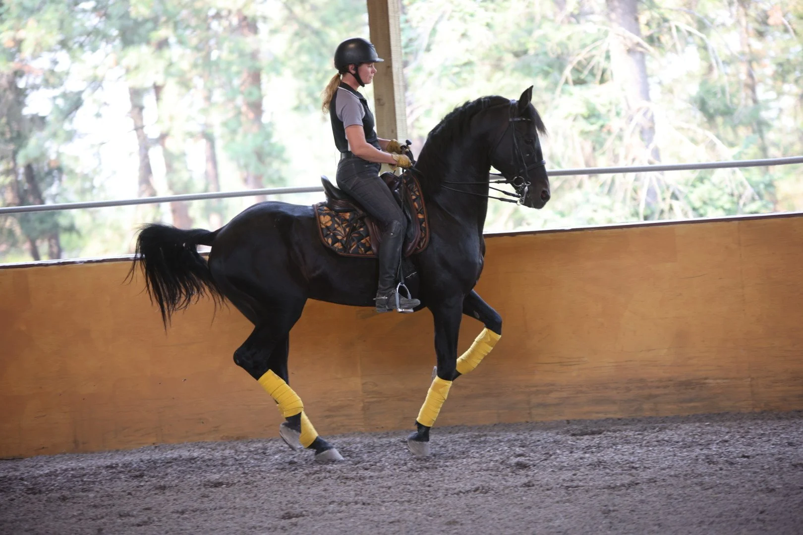 A woman riding a black horse in an indoor riding arena, wearing a black helmet, gray shirt, and black riding gear, with the horse's legs wrapped in yellow protective bandages.