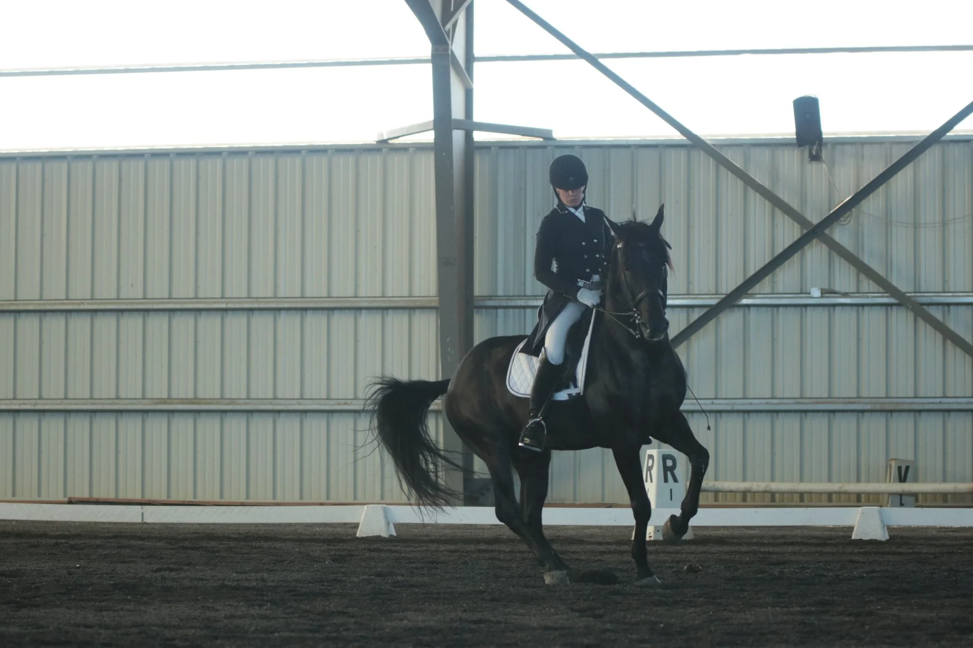 A person in equestrian attire riding a dark brown horse inside an indoor riding arena with metal walls and beams.