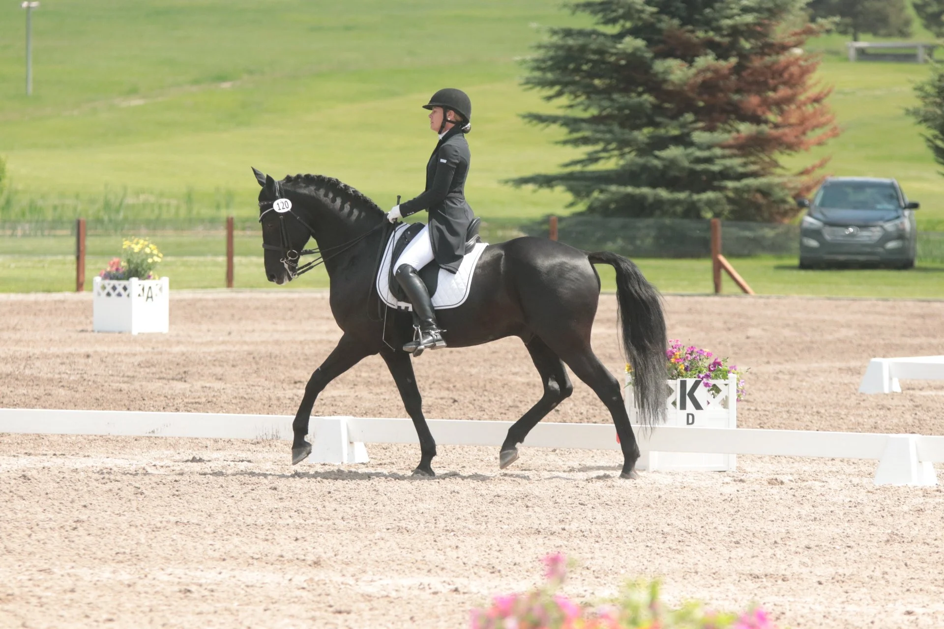 A woman dressed in formal equestrian attire riding a black horse during a dressage competition in an outdoor arena, with flower arrangements and markers in the background.
