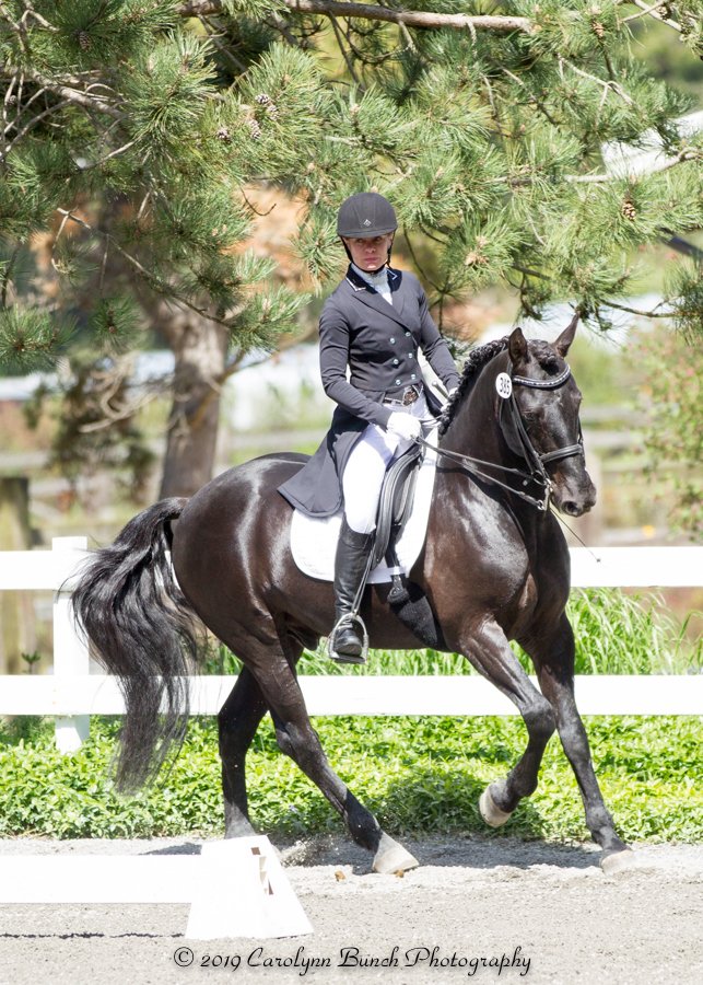 A female equestrian dressed in formal riding attire, including a black helmet and jacket, riding a dark brown horse with a white saddle pad, on a dirt path enclosed by a white fence, with trees in the background.