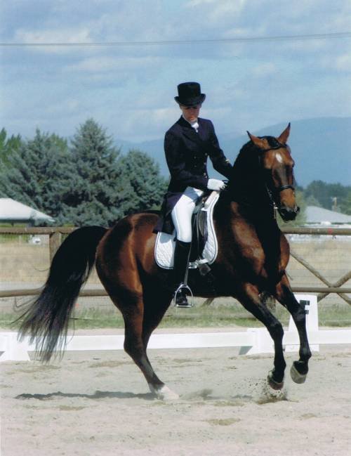 Person in a riding outfit riding a dark brown horse in an outdoor equestrian arena.