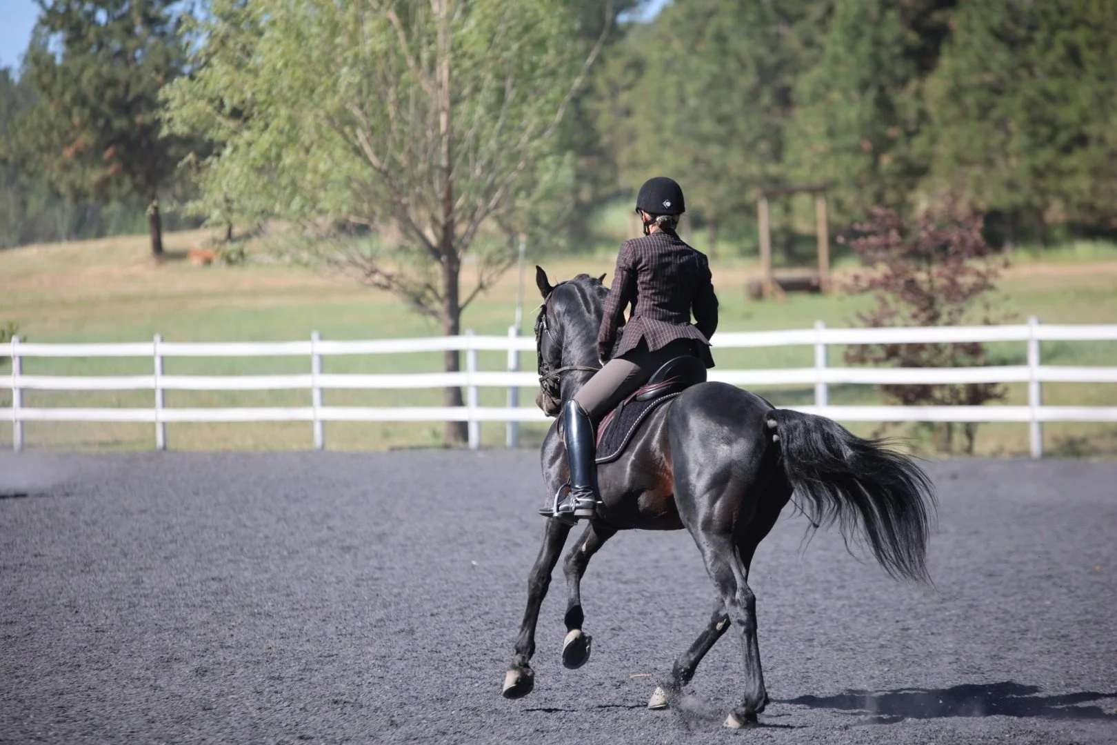 A person riding a black horse in an outdoor riding arena with a white fence, with trees and greenery in the background.