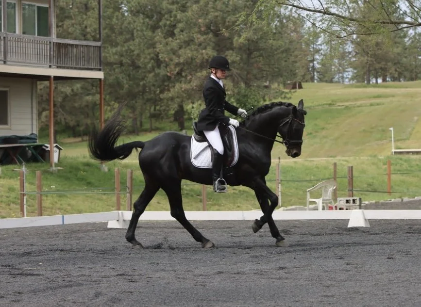 A young rider in formal dress riding a black horse in a dressage arena outdoors.