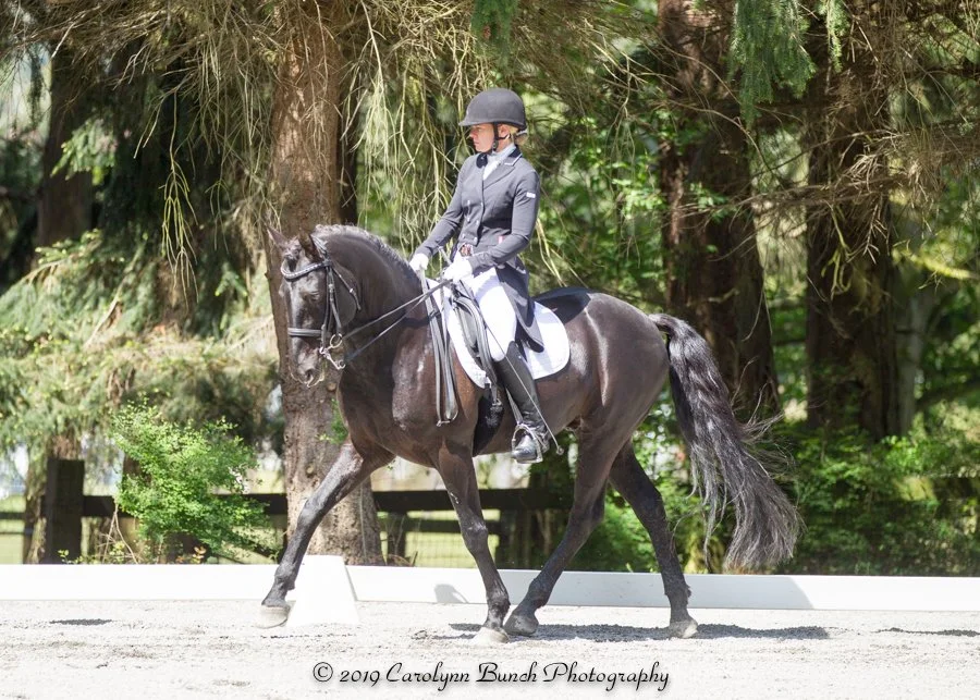 A woman riding a black horse in an outdoor dressage arena surrounded by trees.