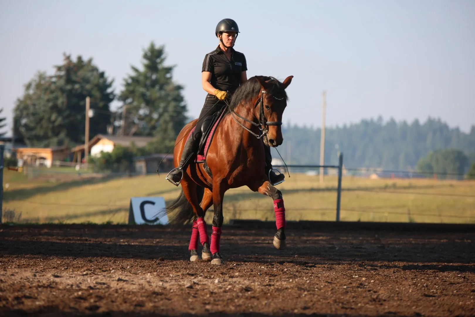 A rider on a brown horse with red leg wraps in an outdoor riding arena during daylight hours.