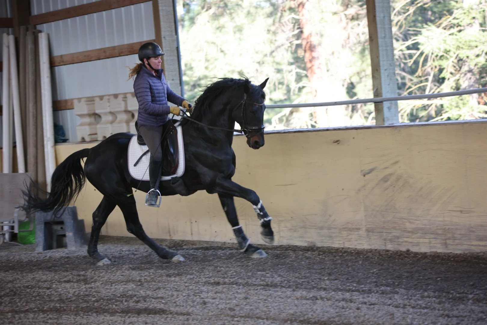 A woman riding a black horse inside an indoor riding arena, wearing a helmet and a blue jacket.