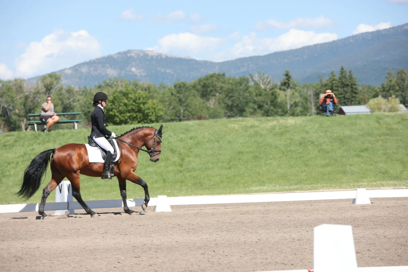A person riding a horse in a dressage arena with spectators and greenery in the background.