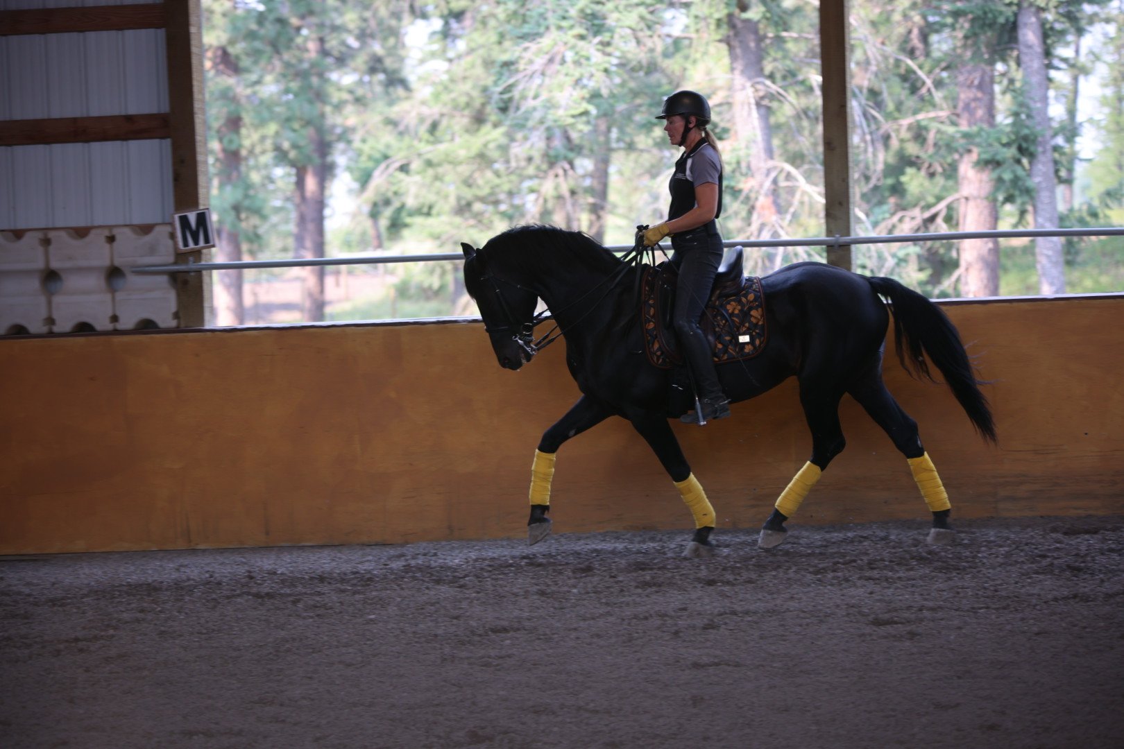 A person riding a black horse inside an indoor riding arena, with trees visible through the open windows, wearing a helmet and gloves.