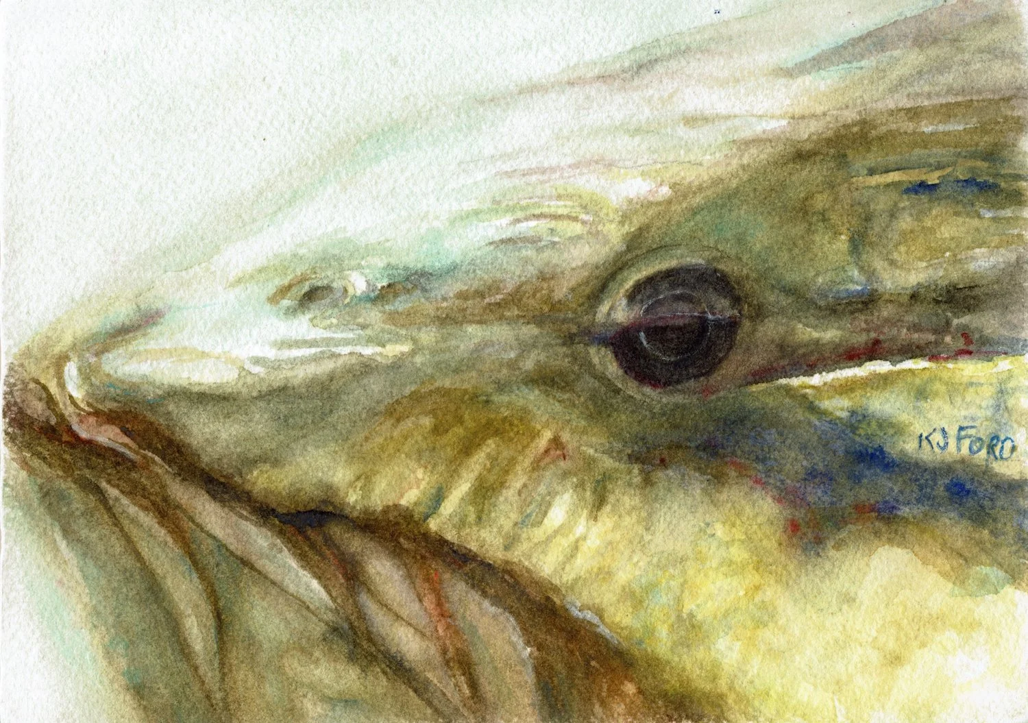 Watercolor close-up of a smallmouth bass eye reflected against water and stone.