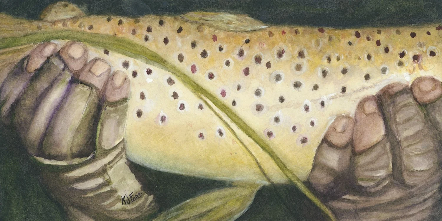 Watercolor of worn gloved hands holding a spotted brown trout at night.