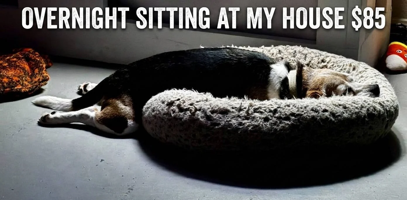 A dog lying on its side in a fluffy pet bed, with the text 'Overnight sitting at my house $85' at the top.