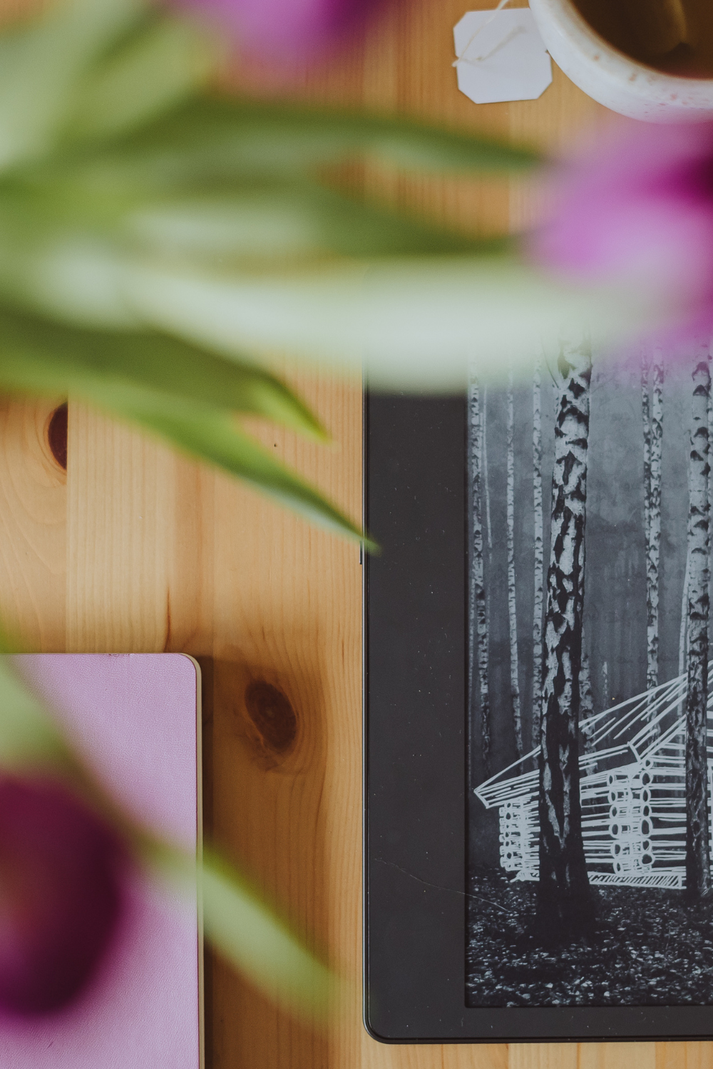 copy-corner-blog-stop-relying-on-social-media