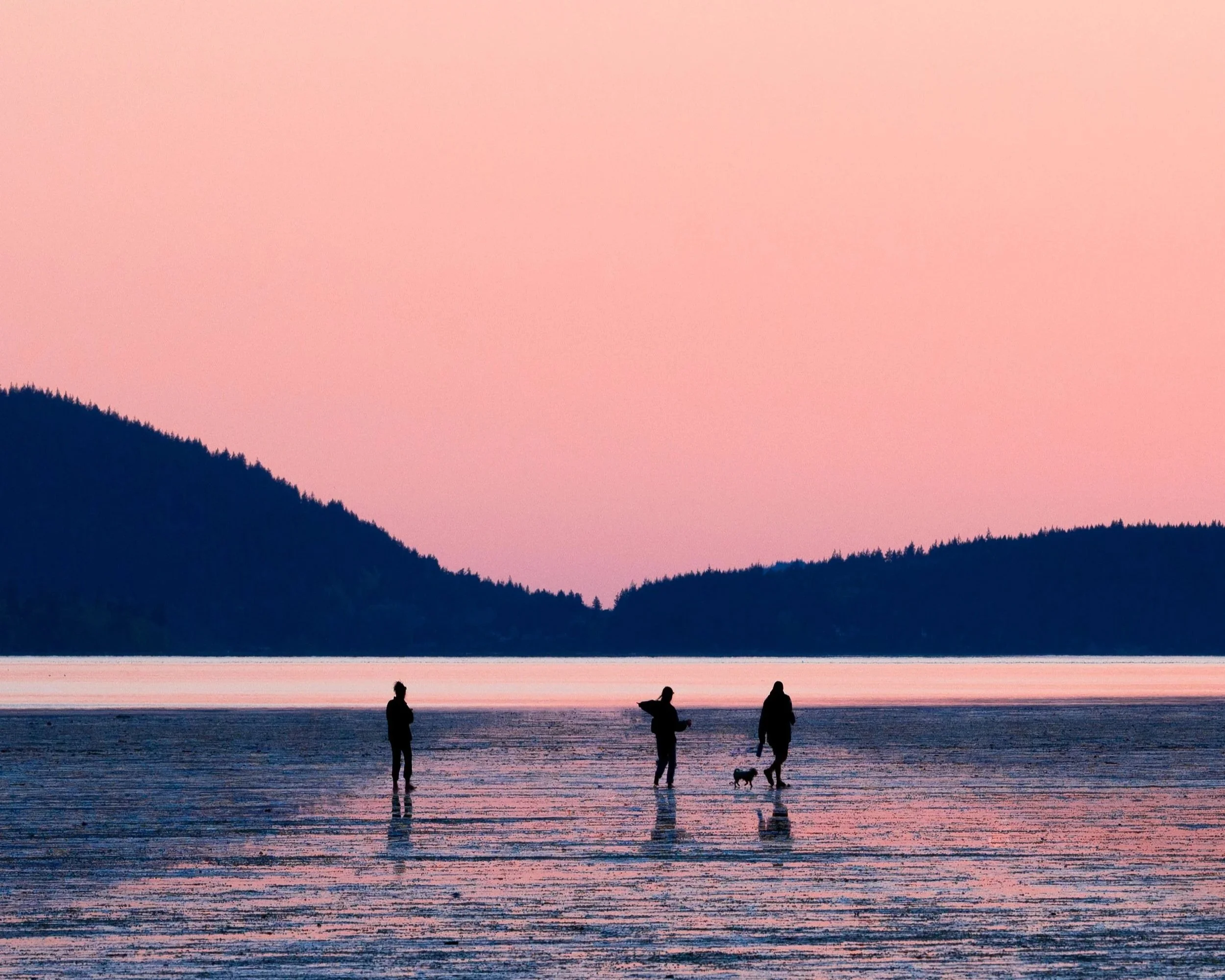 Bellingham+Beach.jpg