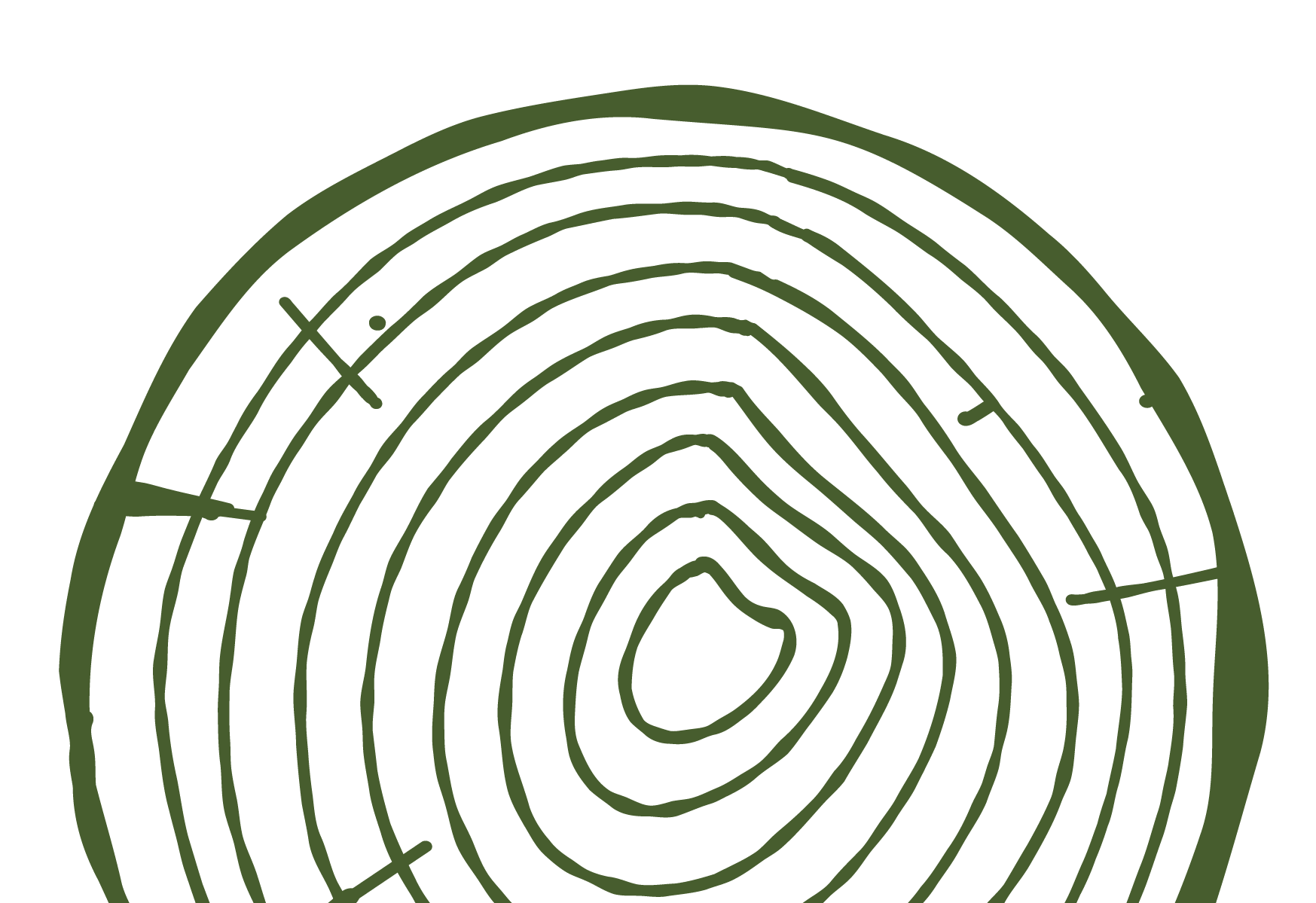 Tree ring illustration.