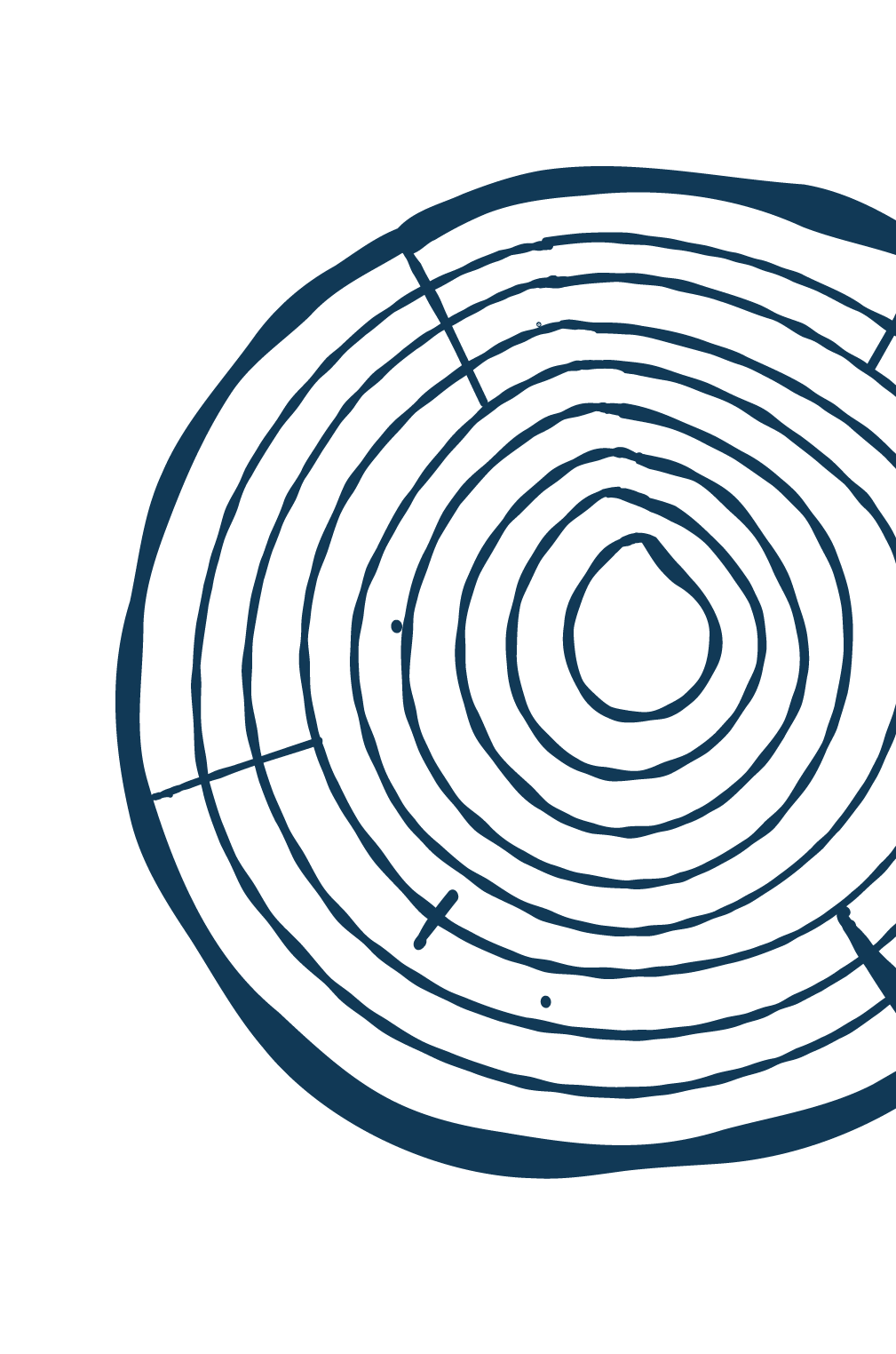 Close-up of a cross-section of a tree trunk showing growth rings on a black background.