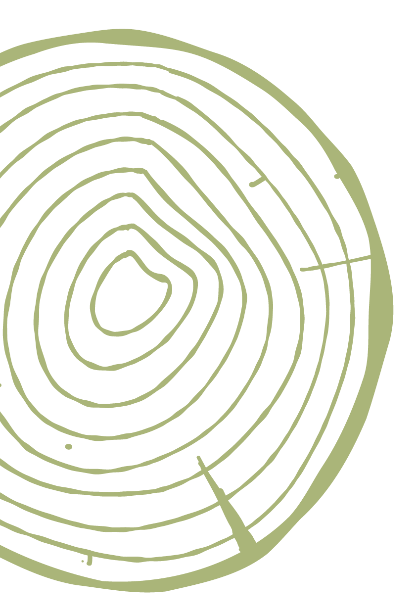 Line drawing of tree rings with notch.