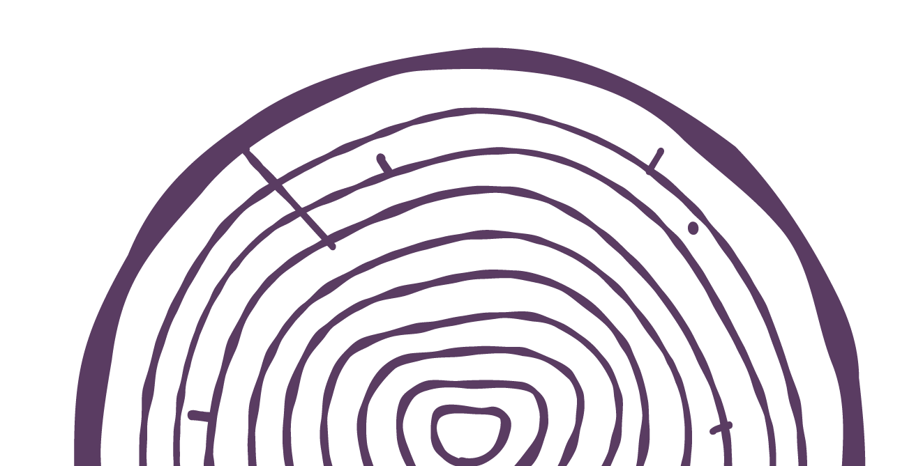 Tree ring illustration.