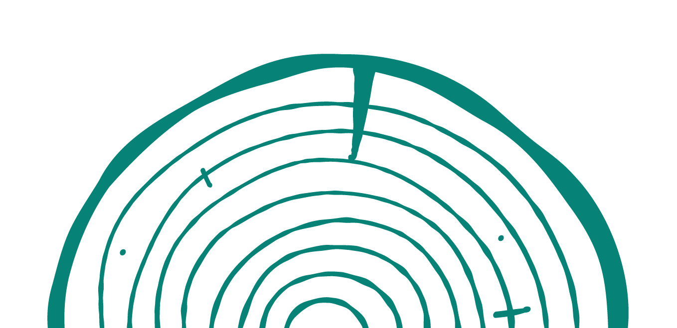 Line drawing of tree rings with notch.