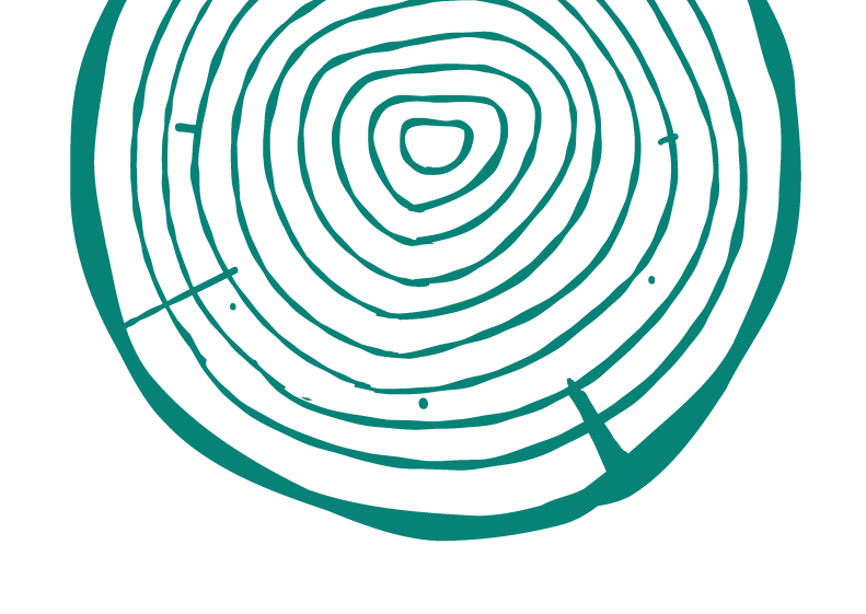 Tree ring illustration.