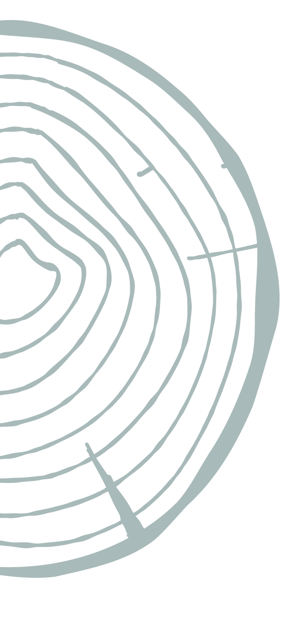 Tree ring illustration.