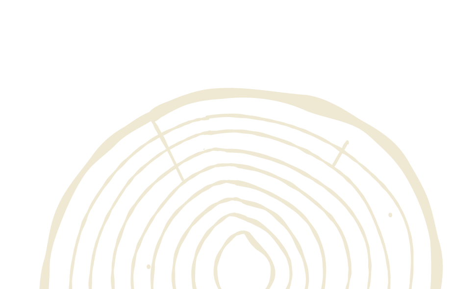 Tree ring illustration.