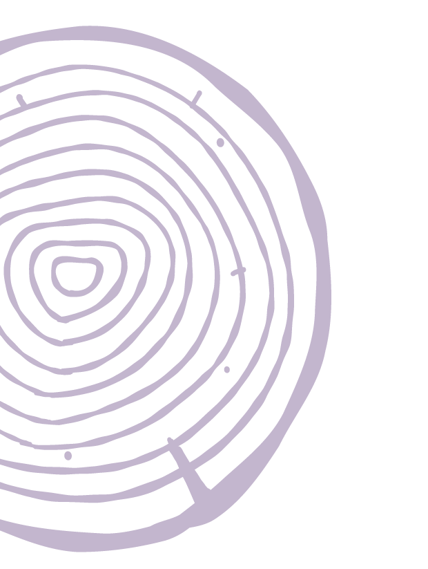 Tree ring.