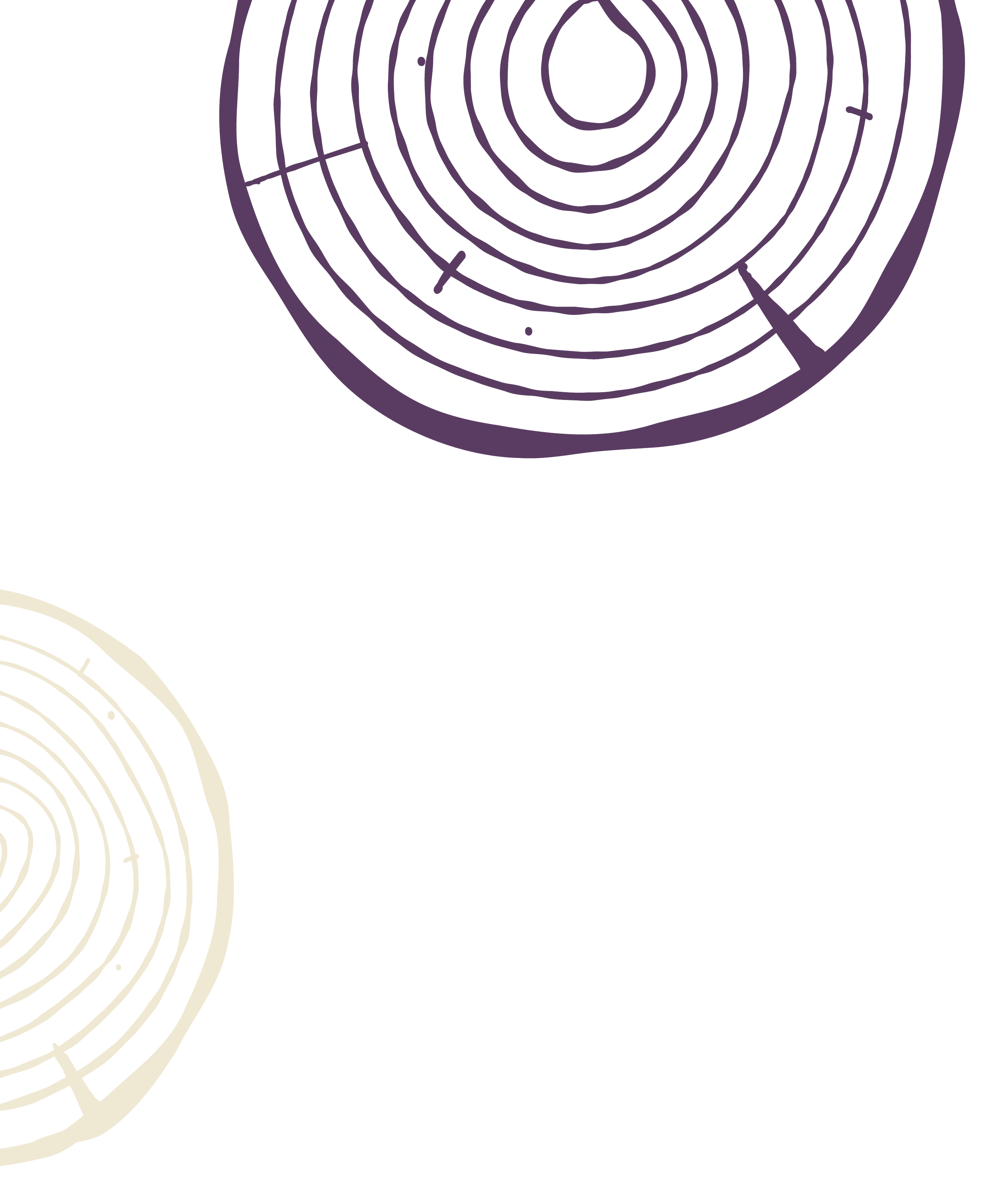 Line drawing of tree rings with notch.
