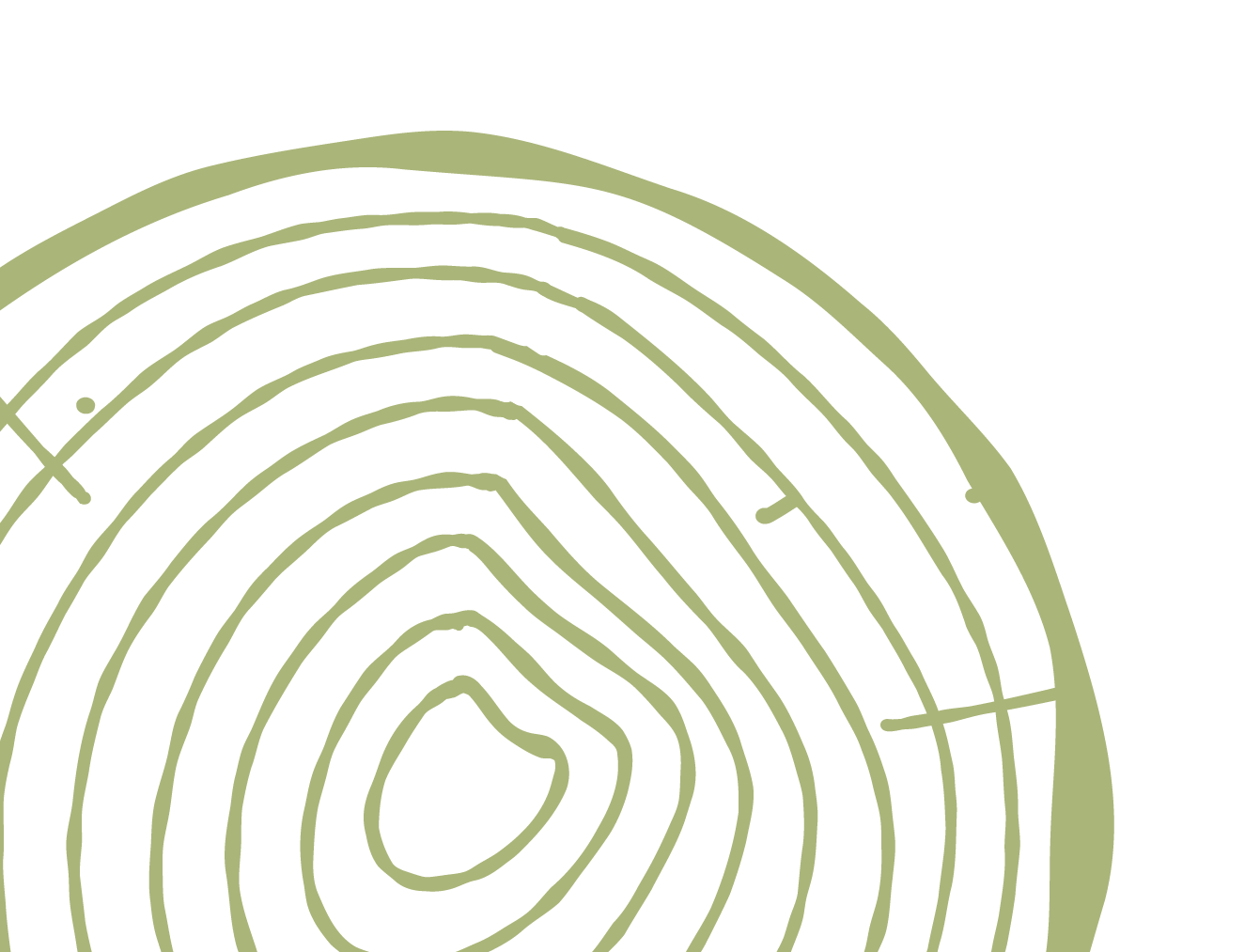 Magnified view of a cross-section of a tree trunk showing growth rings and a fingerprint pattern.