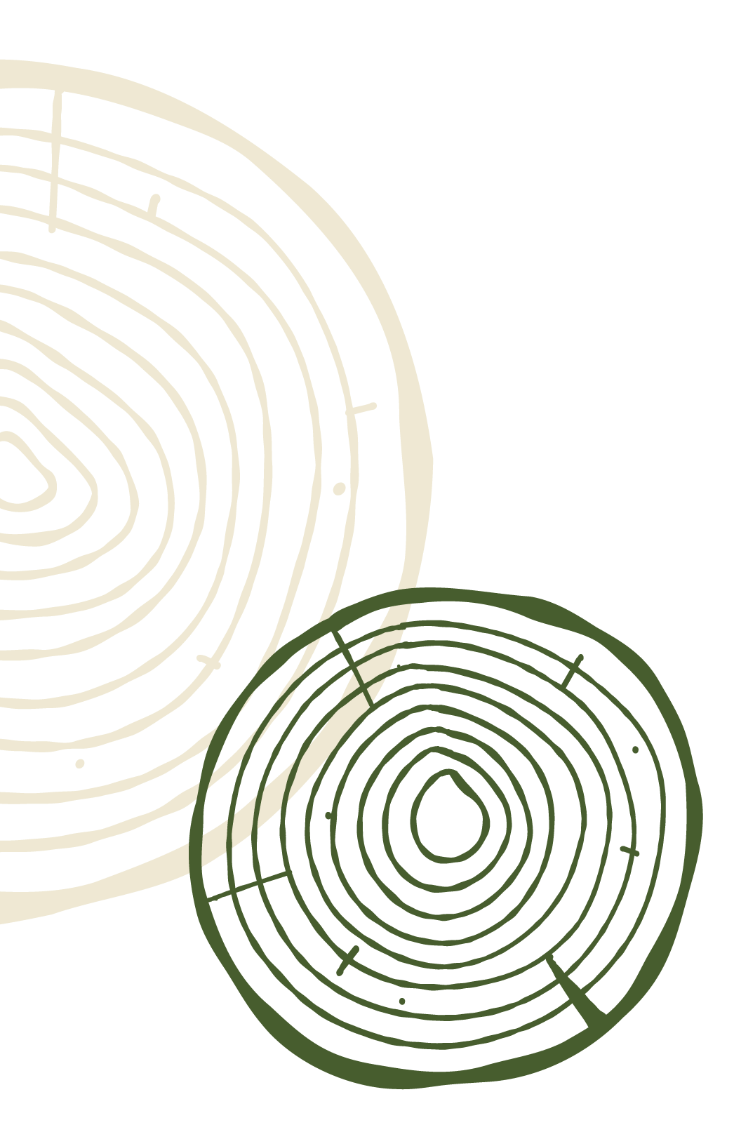 Tree rings.