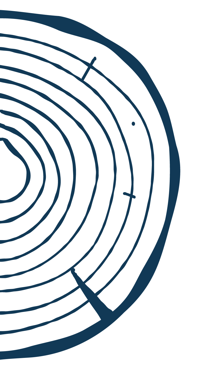 Tree ring illustration.