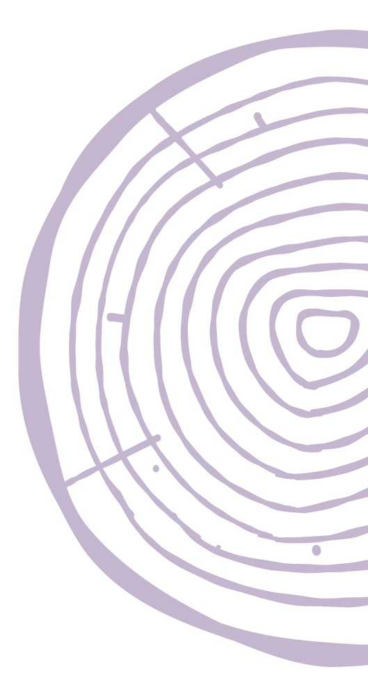 Line drawing of tree rings with notch.