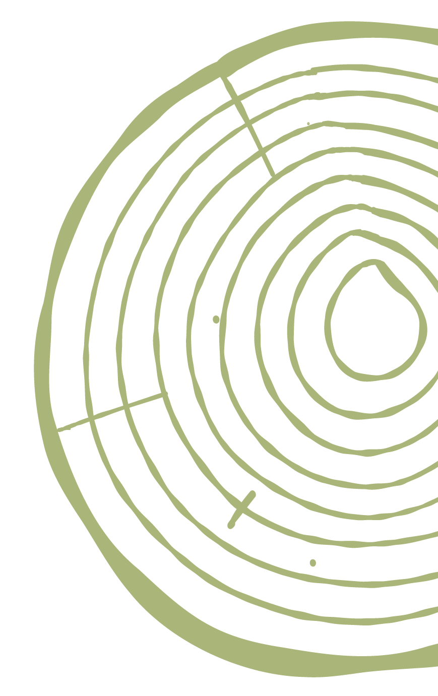 Tree ring.