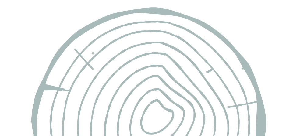Line drawing of tree rings with notch.